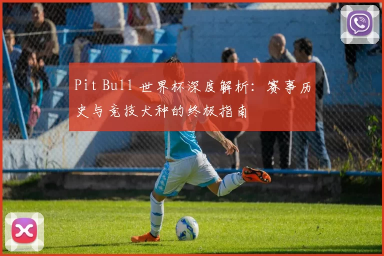 Pit Bull 世界杯深度解析：赛事历史与竞技犬种的终极指南