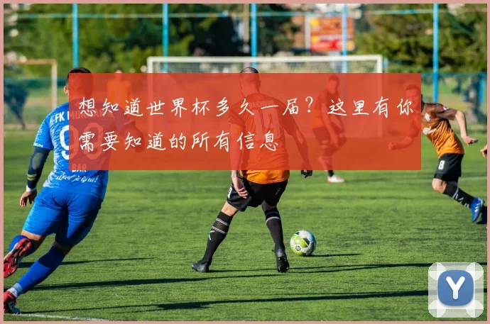想知道世界杯多久一届？这里有你需要知道的所有信息