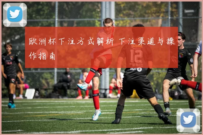 欧洲杯下注方式解析 下注渠道与操作指南