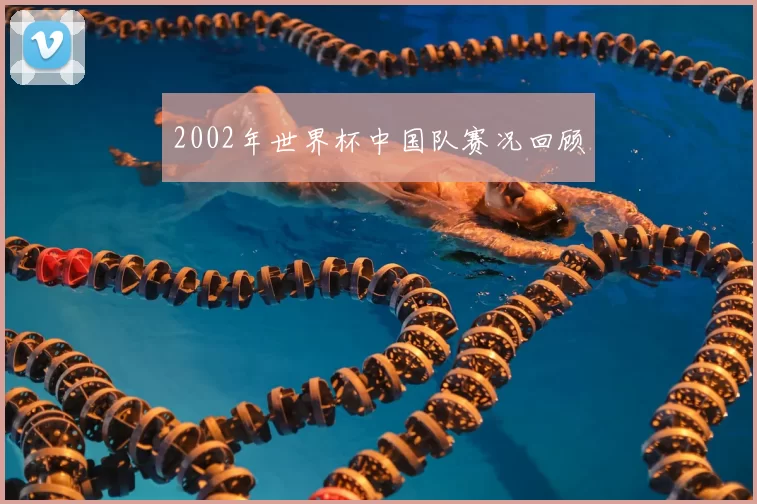 2002年世界杯中国队赛况回顾