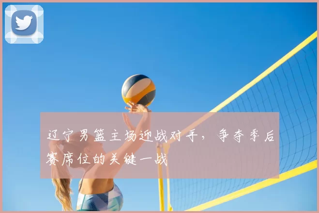 辽宁男篮主场迎战对手，争夺季后赛席位的关键一战