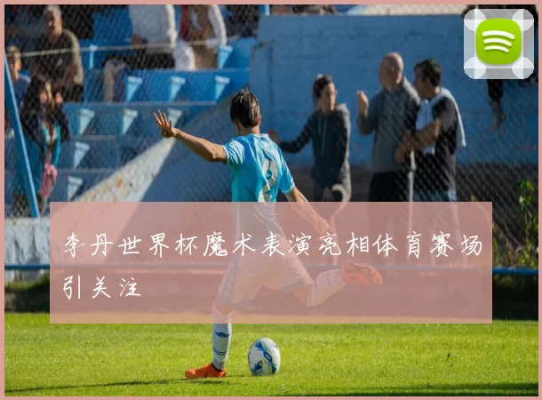 李丹世界杯魔术表演亮相体育赛场引关注