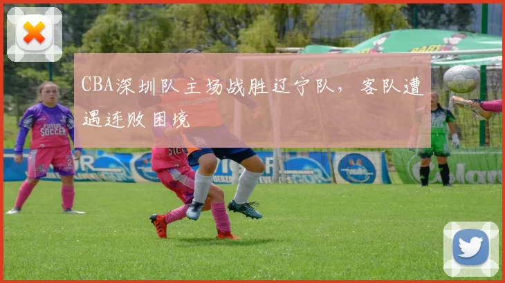 CBA深圳队主场战胜辽宁队，客队遭遇连败困境
