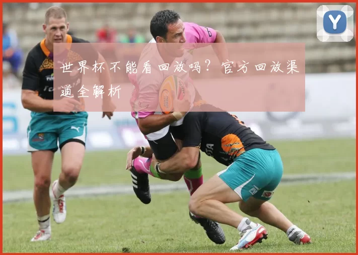 世界杯不能看回放吗？官方回放渠道全解析
