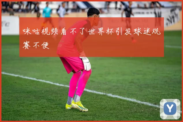 咪咕视频看不了世界杯引发球迷观赛不便