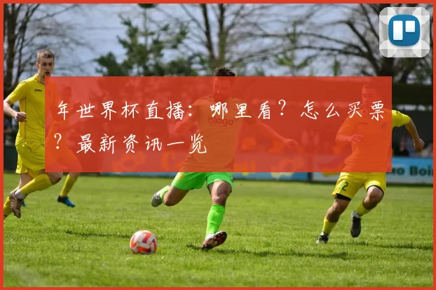 年世界杯直播：哪里看？怎么买票？最新资讯一览