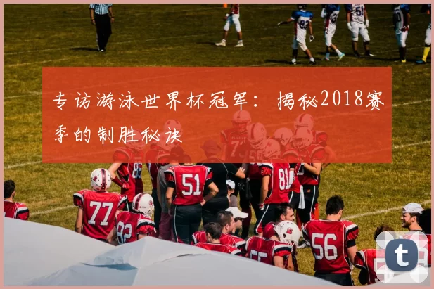 专访游泳世界杯冠军：揭秘2018赛季的制胜秘诀
