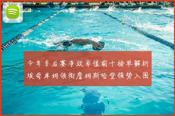 今年季后赛净效率值前十榜单解析埃奇库姆领衔詹姆斯哈登强势入围