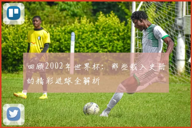 回顾2002年世界杯：那些载入史册的精彩进球全解析