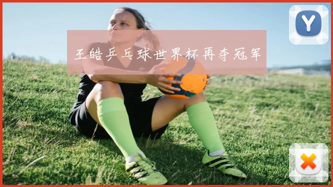 王皓乒乓球世界杯再夺冠军