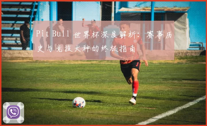 Pit Bull 世界杯深度解析:赛事历史与竞技犬种的终极指南