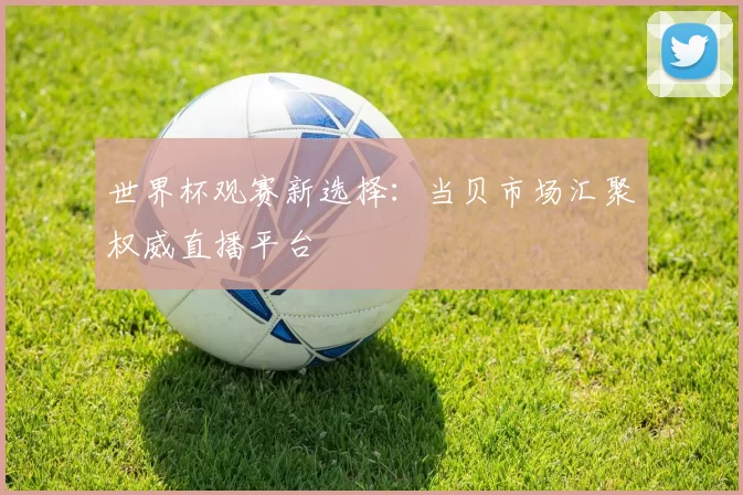 世界杯观赛新选择：当贝市场汇聚权威直播平台